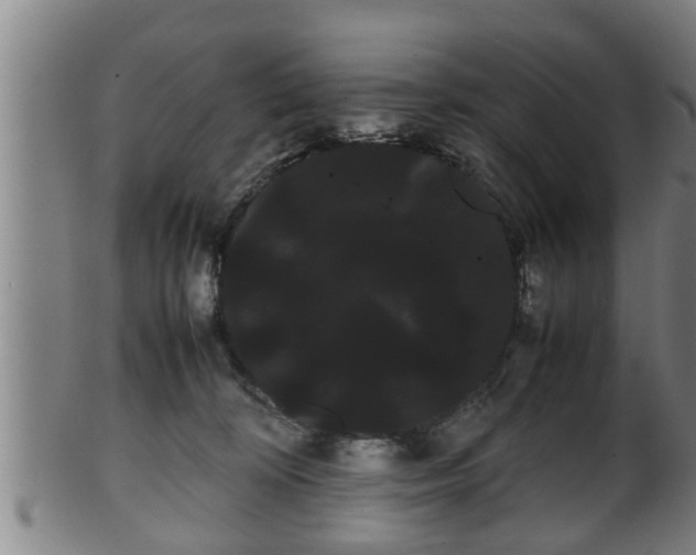 X0000100220324200806061351