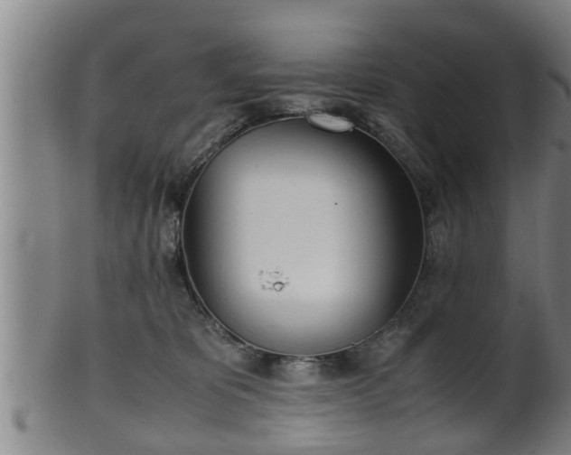 X0000100220325200806061351