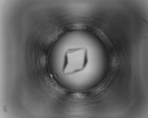 X0000100220326200806061351