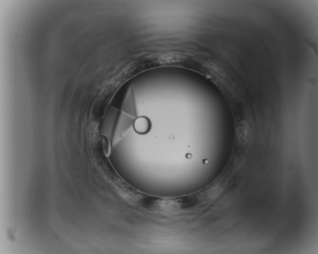 X0000100220327200806061351