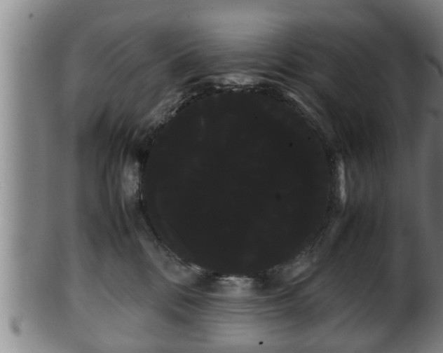 X0000100220328200806061351