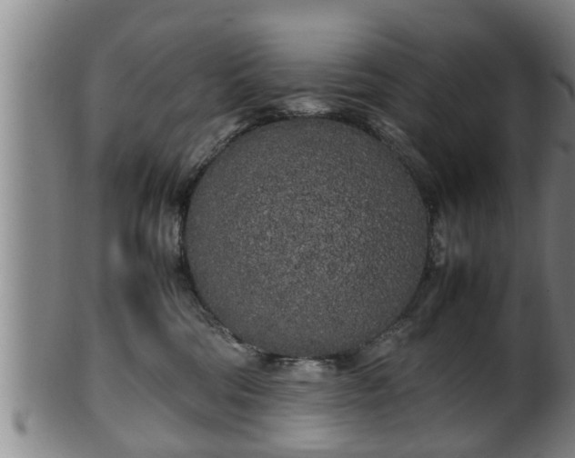 X0000100220330200806061351