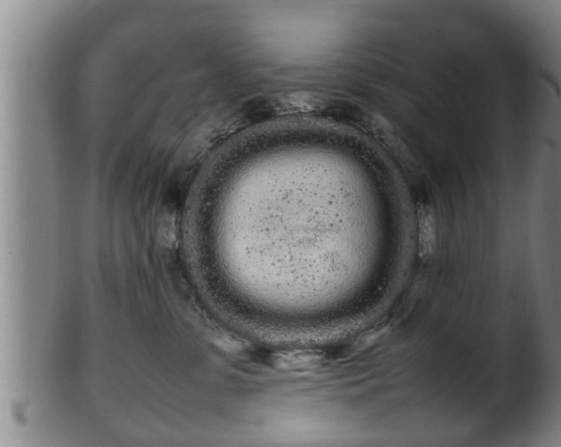 X0000100220331200806061351