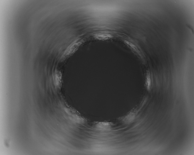 X0000100220332200806061351