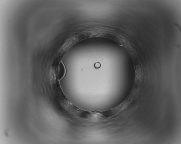 X0000100220333200806061351