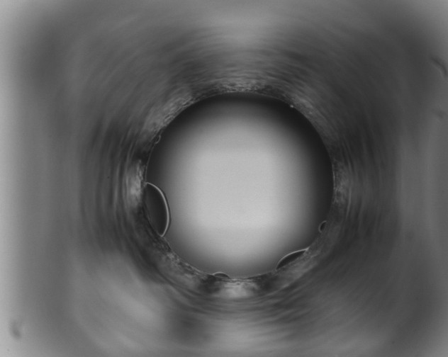 X0000100220334200806061351