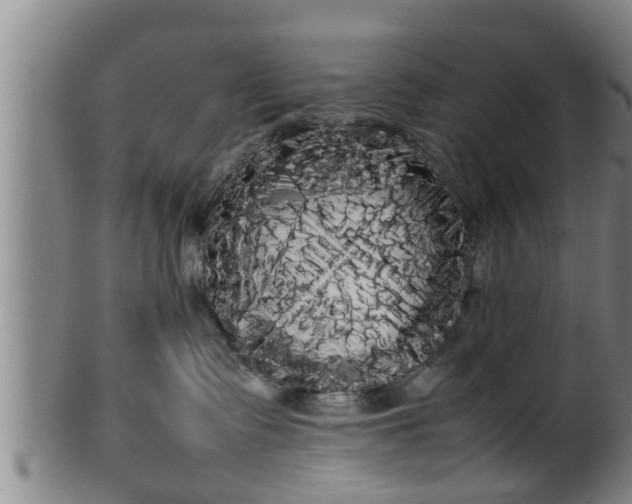 X0000100220335200806061351