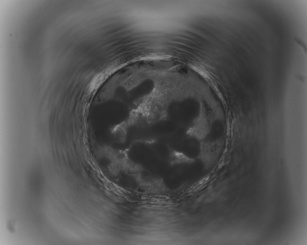 X0000100220337200806061350