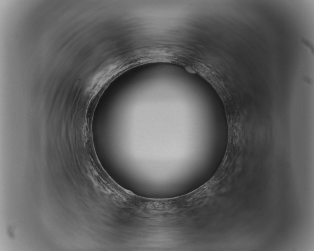 X0000100220338200806061350