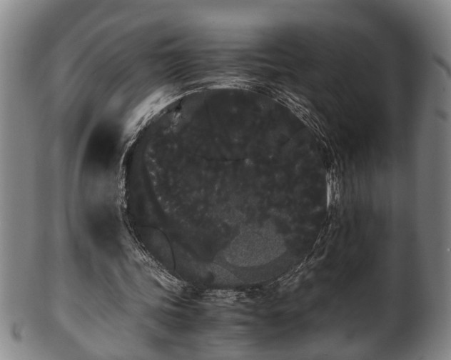 X0000100220339200806061350