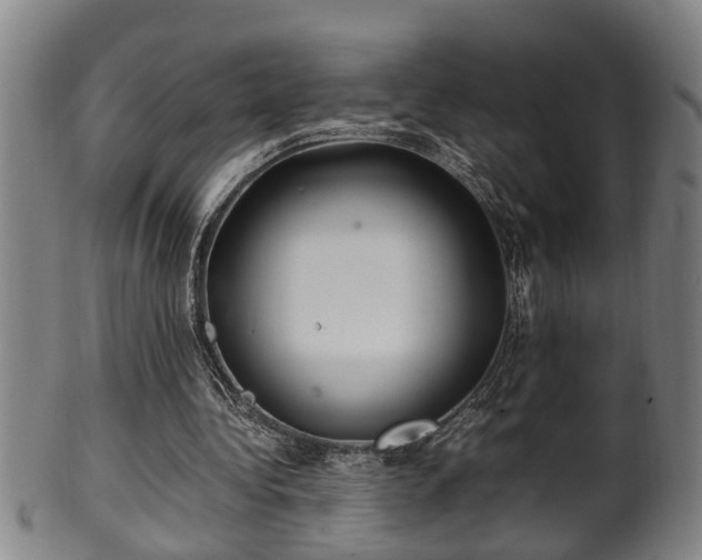 X0000100220340200806061350