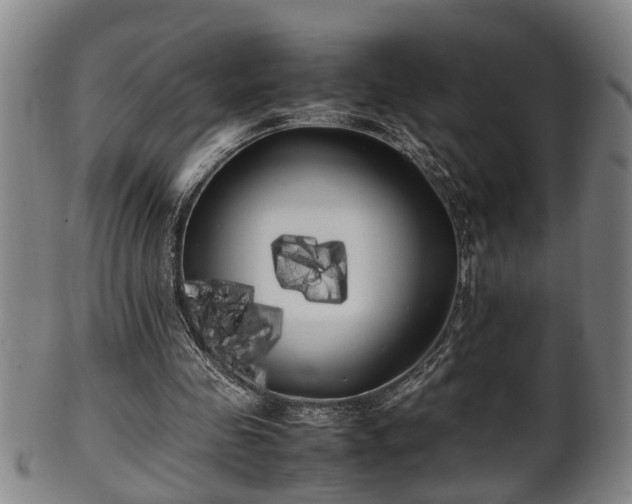 X0000100220341200806061350