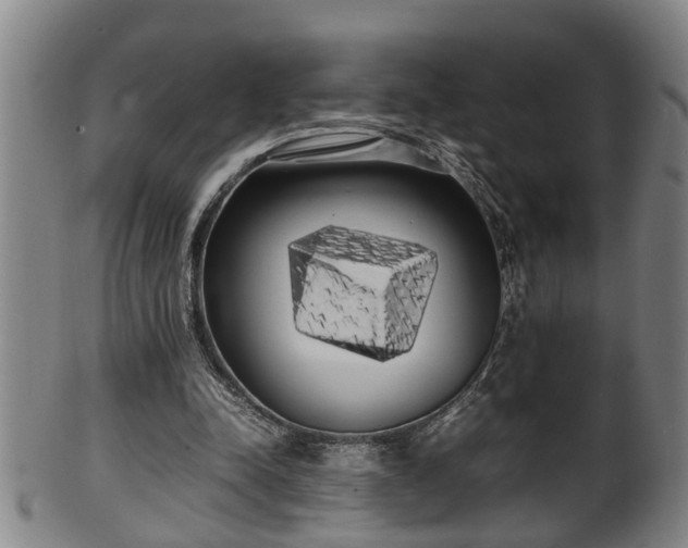 X0000100220342200806061350