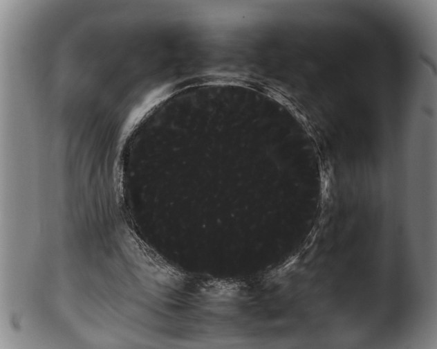 X0000100220343200806061350