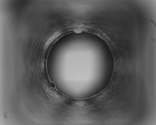 X0000100220344200806061350