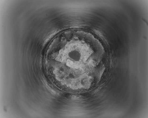 X0000100220346200806061350