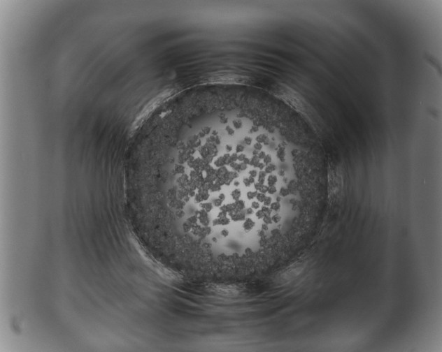 X0000100220349200806061350