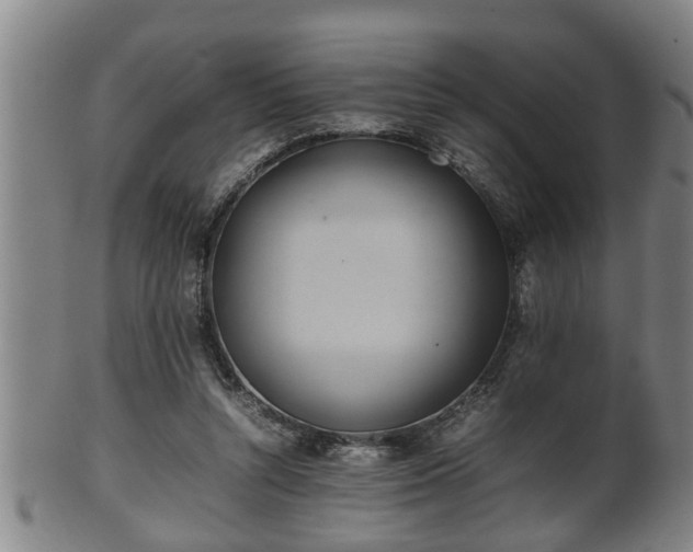 X0000100220352200806061350