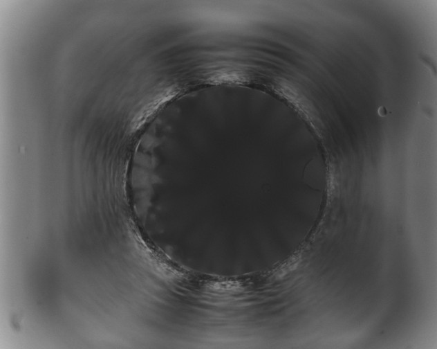 X0000100220353200806061350