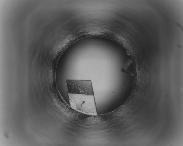 X0000100220354200806061350