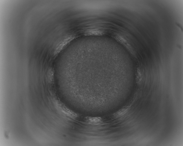 X0000100220355200806061350