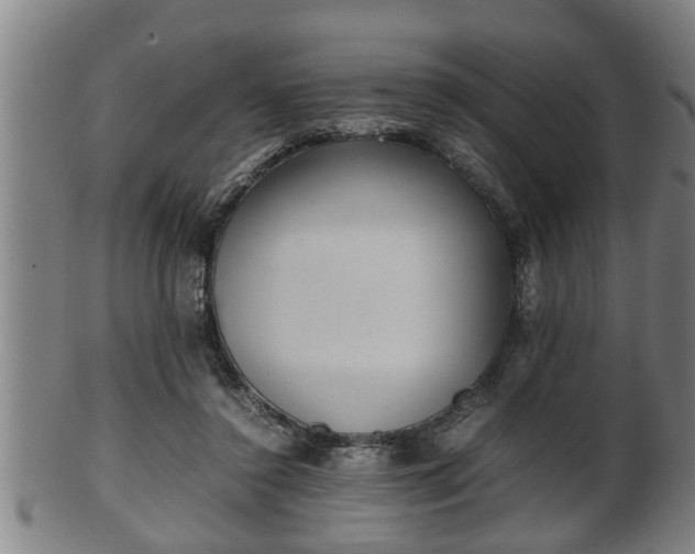 X0000100220356200806061350