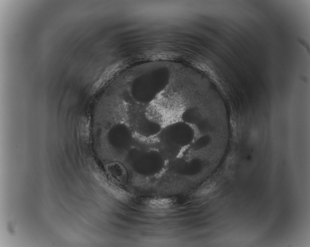 X0000100220357200806061350