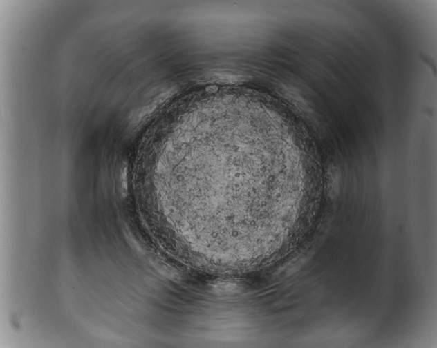 X0000100220358200806061350