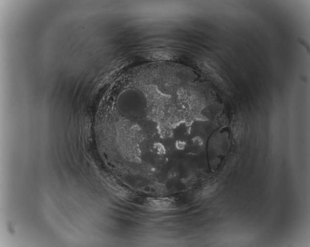 X0000100220359200806061350