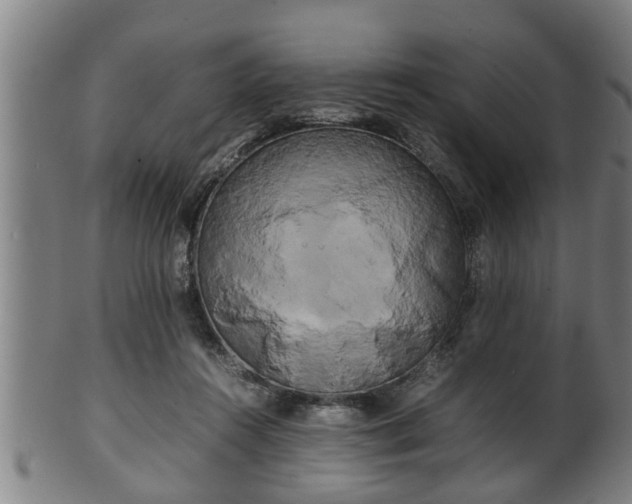 X0000100220360200806061350