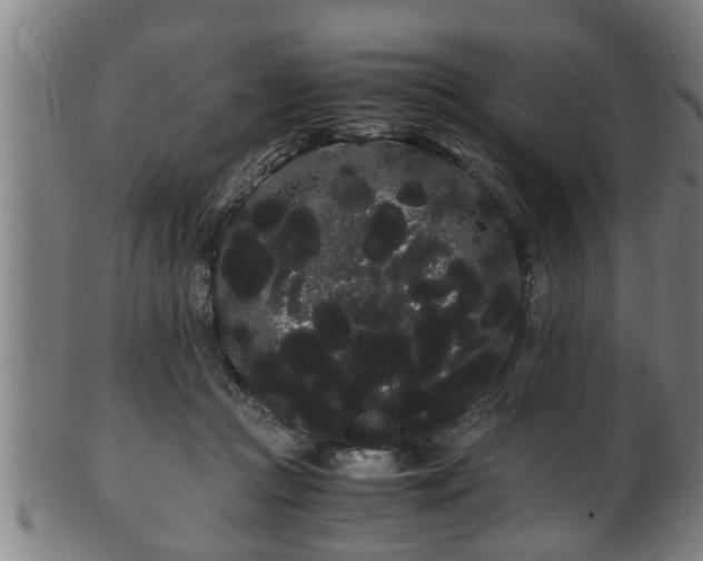 X0000100220361200806061350