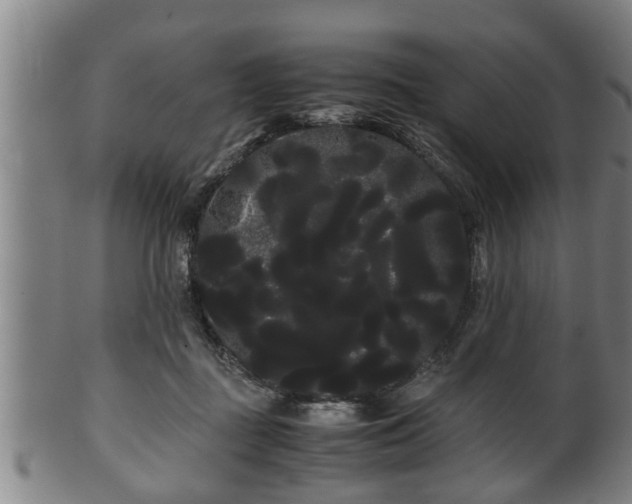 X0000100220363200806061350