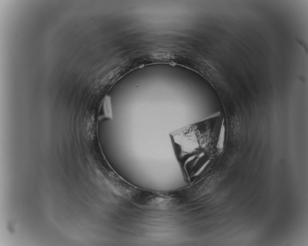 X0000100220364200806061350