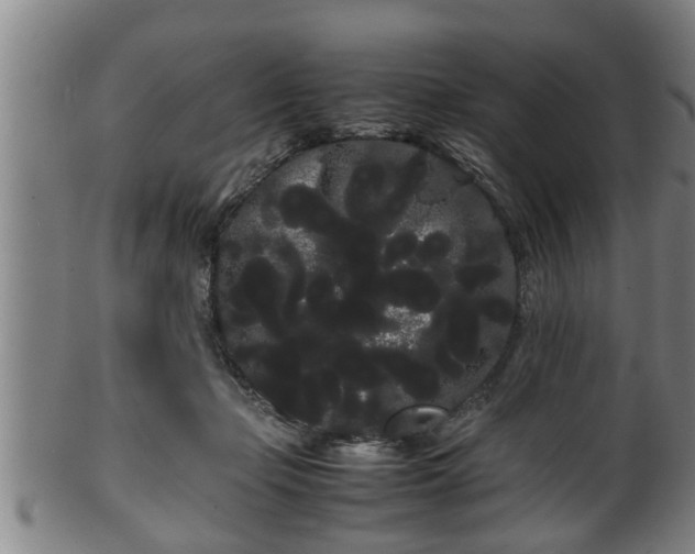 X0000100220365200806061350