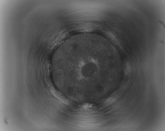 X0000100220366200806061350