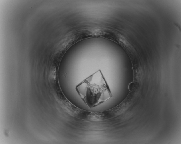 X0000100220368200806061350