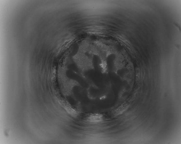 X0000100220369200806061350