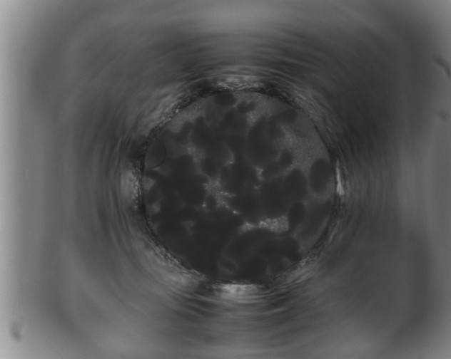 X0000100220371200806061350