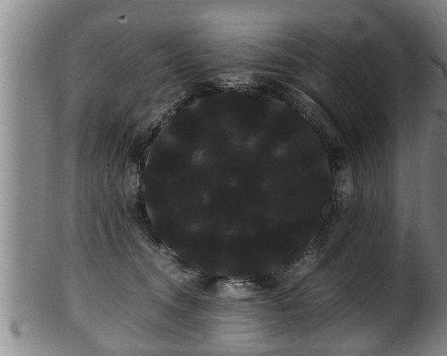 X0000100220372200806061350