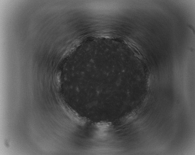 X0000100220373200806061350