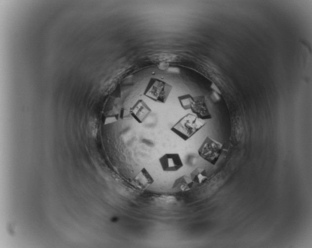 X0000100220374200806061350