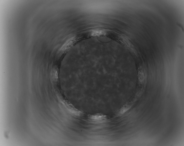 X0000100220375200806061350