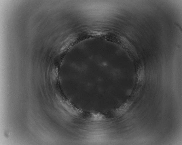 X0000100220376200806061350