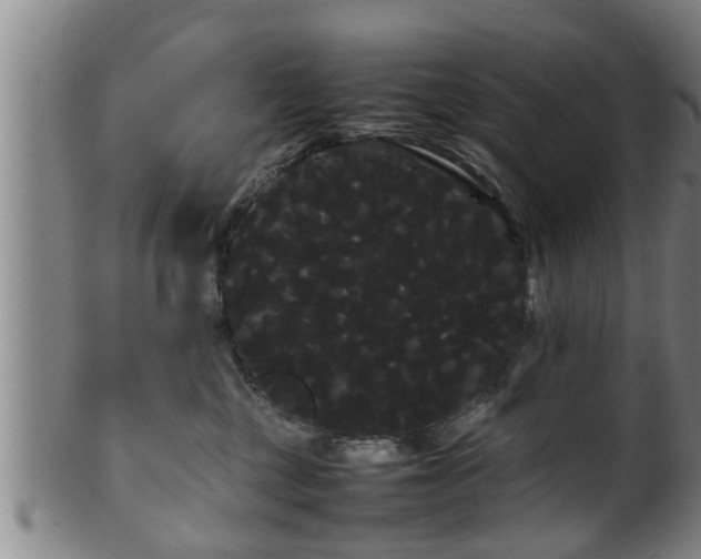 X0000100220377200806061350