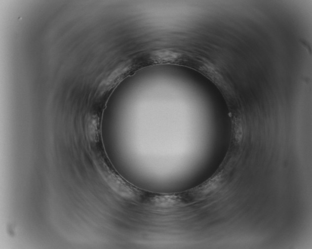 X0000100220378200806061350