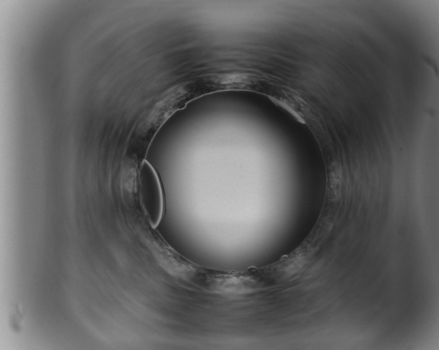 X0000100220379200806061350