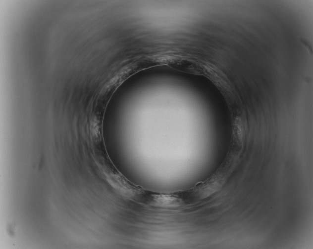 X0000100220380200806061350