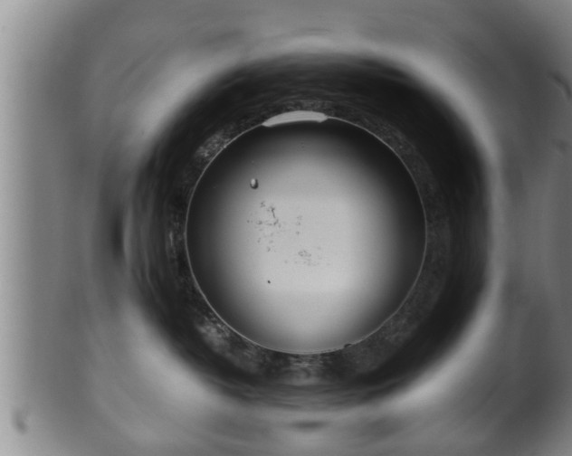 X0000100220382200806061350