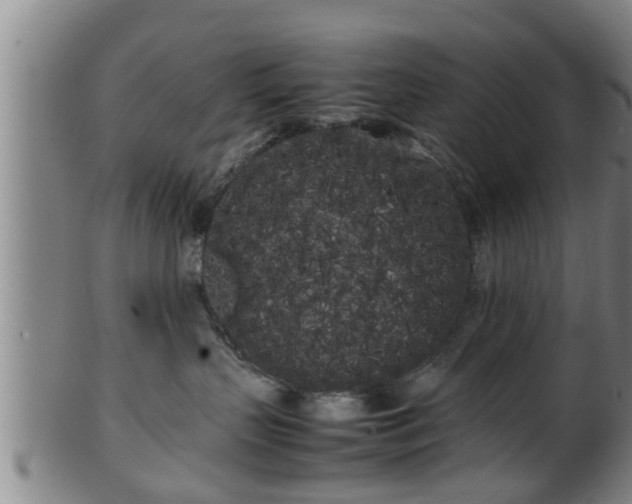 X0000100220383200806061351