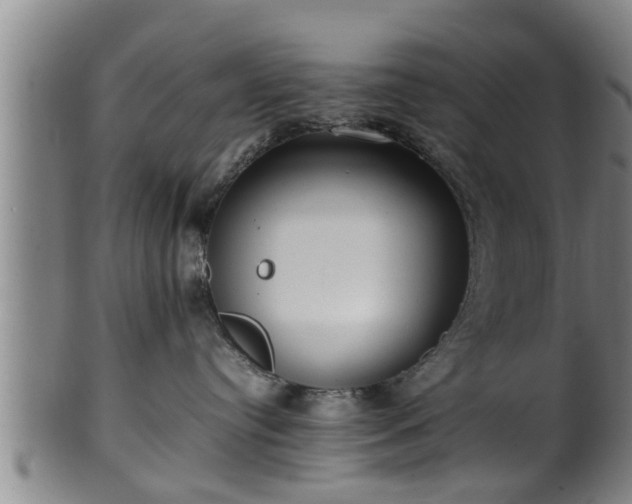 X0000100220384200806061351